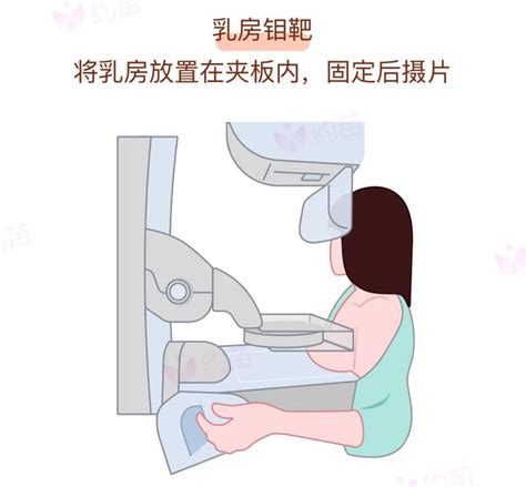 乳腺钼靶、b超、mri？胸部检查到底怎么做？ 知乎