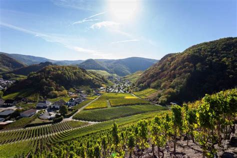 Weinanbaugebiet Ahr Ahrtal Deutschland