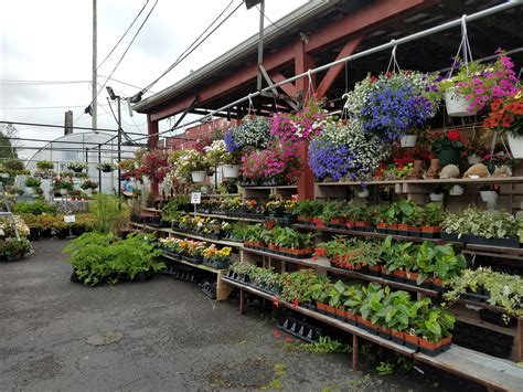 Local garden centers say they are having a great year because of COVID-19 - LVB