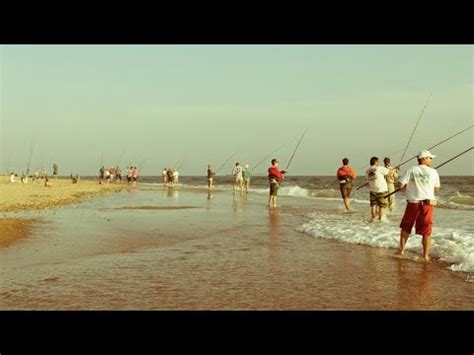 Red Drum Fishing Off Of Cape Point In Cape Hatteras North Carolina