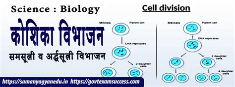 कोशिका विभाजन समसूत्री व अर्द्धसूत्री विभाजन Biology Cell Division