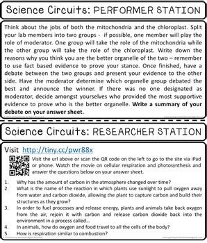 Cells Stem Steam Science Lab Centers Photosynthesis Respiration