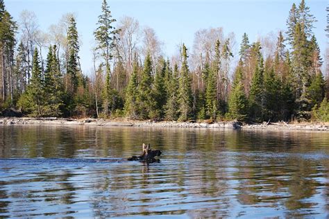 10 Best Lakes in Ontario - What is the Most Popular Lake in Ontario ...