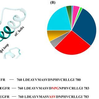 Egfr Exon Insertion Mutations A Location Of Exon Insertion