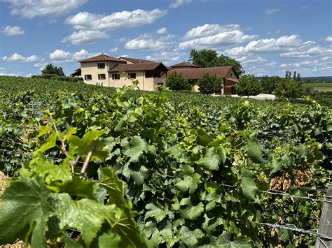 Domaine De La Croix Senaillet Martin Richard Et St Phane Service