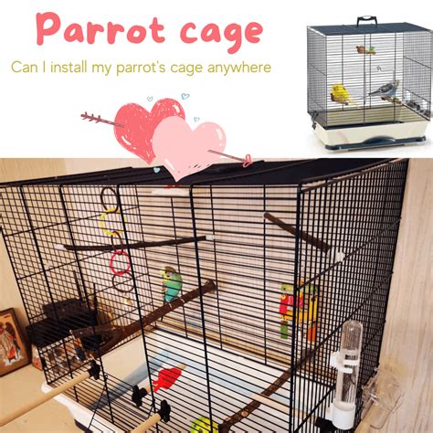 Parrot cage - Can I install my parrot's cage anywhere?