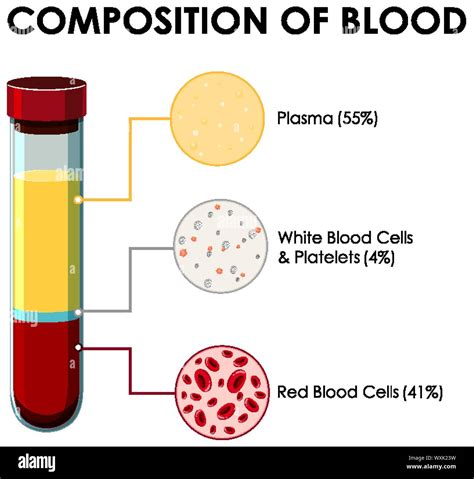 Blood Composition Worksheet