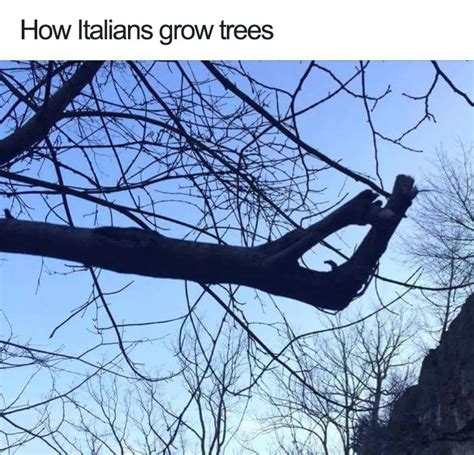 35 Times The Internet Hilariously Roasted Italians Bored Panda