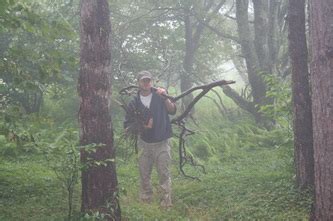 Cloud camping and berry picking at Dolly Sods - NATURAL LEADERS