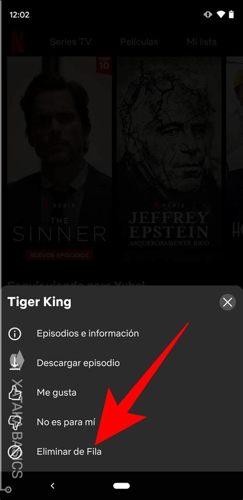 C Mo Gestionar Las Series De La Lista Seguir Viendo En La App De Netflix