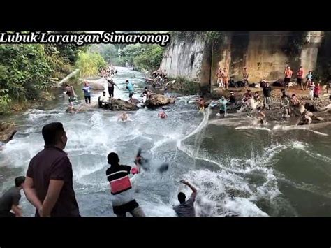 Menangkap Ikan Di Sungai Lubuk Laranggan Simaronop Full Satu Karung