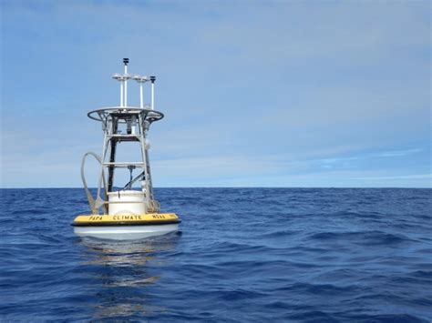 In Hot Water Exploring Marine Heatwaves Noaa Research