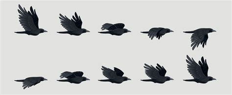 Bird Flying Animation Vector Art Icons And Graphics For Free Download