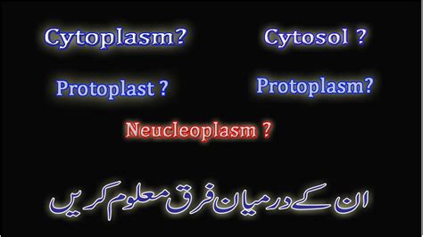 Difference Between Protoplast Protoplasm Cytoplasm Cytosole Nucleoplasm To The Point Lecture