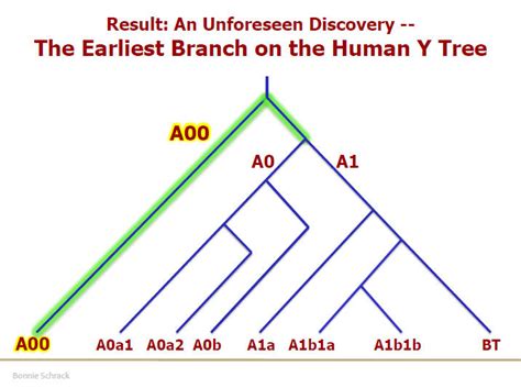 Oldest Human Dna