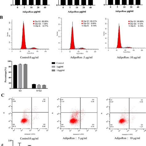 Effect Of Adiporon On The Proliferation And Apoptosis Of Testicular