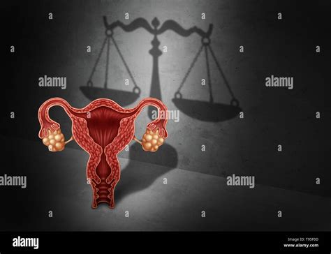 Ley Sobre El Aborto Y La Justicia Reproductiva Como Un Concepto Jurídico De Los Derechos De