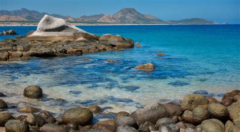 Parque Nacional Cabo Pulmo Un Tesoro Del Pac Fico Pueblo Bonito Resorts