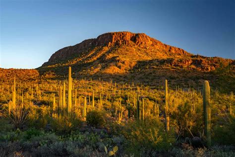 10 AMAZING National Parks Near Tucson You'll Love (Photos + Guide)