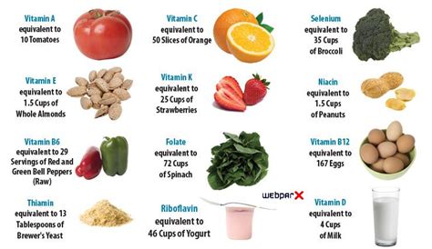 Vitamins And Minerals Nutrition Basics