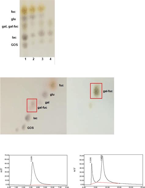 1D TLC Result Of Fraction Obtained After The Charcoal Column