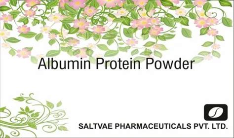 Albumin Protein Powder at Rs 300 | Egg Protein in Noida | ID: 27116662612