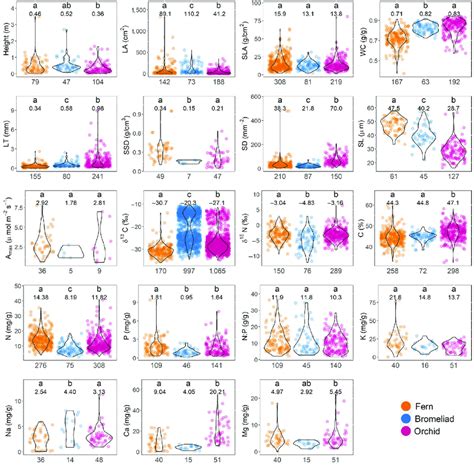 Functional Traits Of Major Epiphyte Groups Numbers Below Each Panel Download Scientific