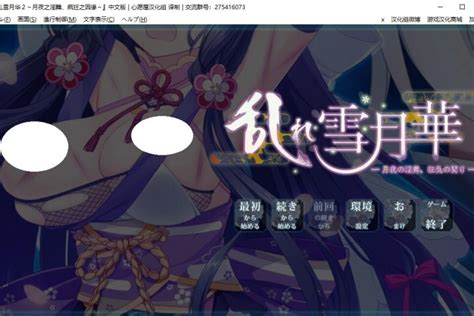 【汉化 Pc 全cg】乱れ雪月華2 宅领域