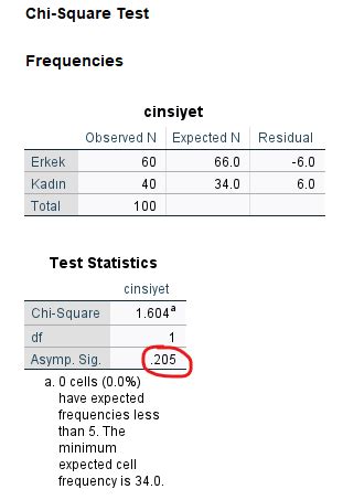 Tek Örneklem Ki Kare Testi SPSS Resimli SPSS YARDIMI İSTATİSTİK