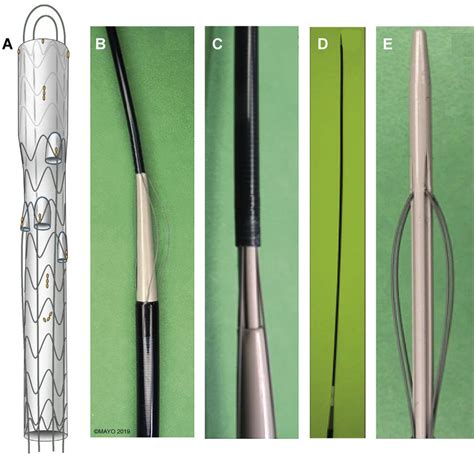 Schematic Of Novel Low Profile Preloaded Guidewire Delivery System Download Scientific Diagram