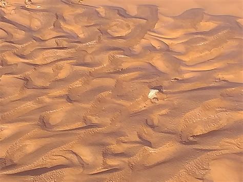 Las Fuertes Precipitaciones En El Mar Menor Inundan Los Nietos