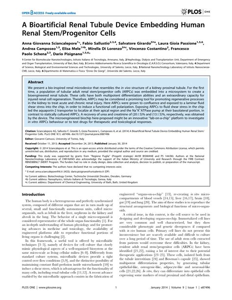 Pdf A Bioartificial Renal Tubule Device Embedding Human Renal Stemprogenitor Cells