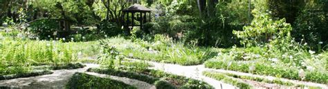 Gardens in Florida: Guide to Top Gardens & Arboretums in Florida