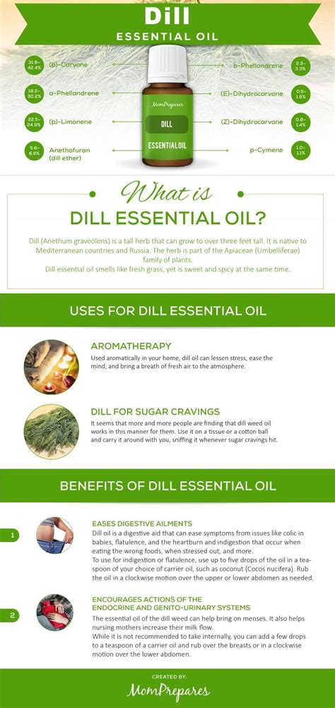 Dill Infographic Dill Essential Oil Floral Essential Oils Essential