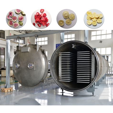 Commercial Freeze Drying Machine Sublimation Condensation Dryer Vacuum