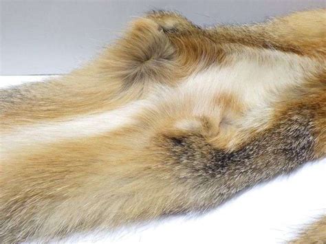 3 Gray Fox Furs Pelts Tanned 36 To 40 L No Paws Albrecht