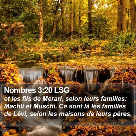 Nombres 3 20 LSG Et Les Fils De Merari Selon Leurs Familles