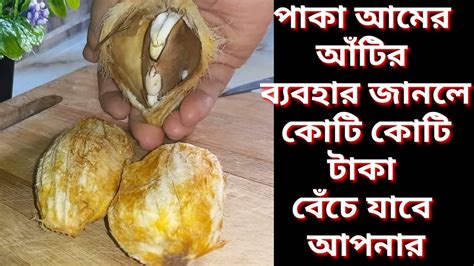 পাকা আমের আঁটি জীবনে কখনো ফেলবেন না কোটি টাকা বাঁচিয়ে দেবে আপনার একটা