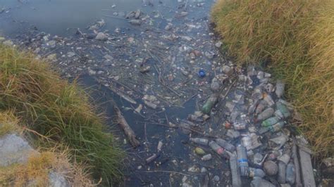 Descarga De Aguas Negras En Laguna De La Alameda 2000 Afecta A Ciudadanos