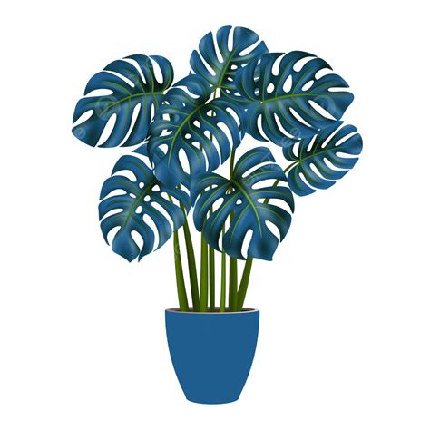 Green Plant Illustration Vector Hd PNG Images Plants Picture Vector