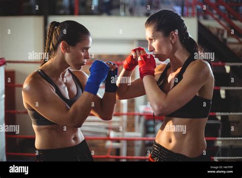 Female Boxers