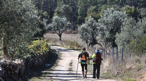 Centro Nacional De Cultura Publica Roteiros Dos Caminhos De Fátima