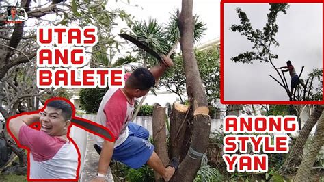 PINUTOL KO ANG PUNO NG BALETE YouTube