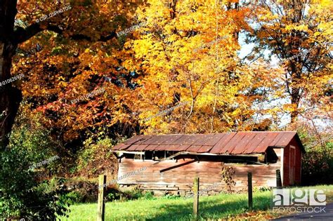 Old Country Barn in the Fall, Stock Photo, Picture And Low Budget ...