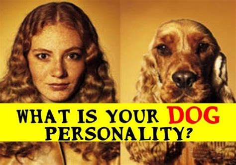 What Is Your Dog Personality? - The best test