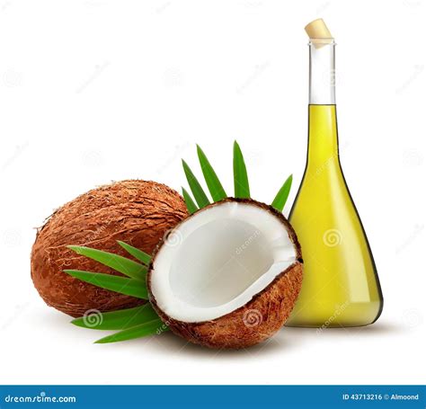 Coconut With Oil Stock Vector Illustration Of Healthy 43713216