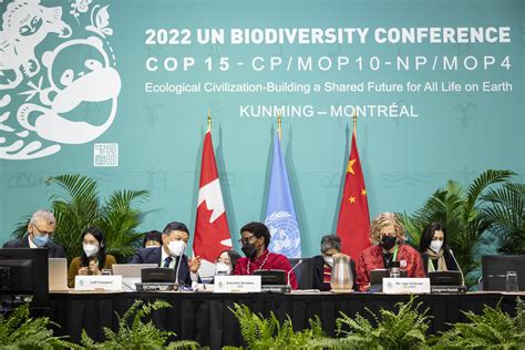 World Leaders Gather In Montreal For Cop15 Biodiversity Summit Earth