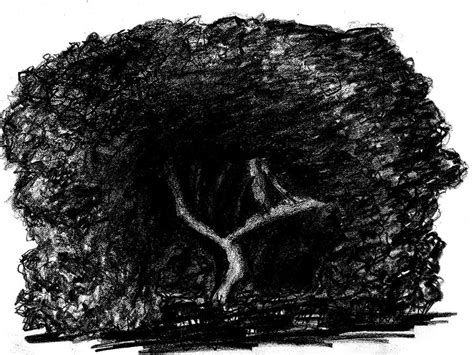 Black Hole Tree Drawing by Matt Quest | Fine Art America