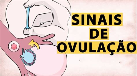 Como Saber se Estou Ovulando 8 Sintomas de Ovulação YouTube