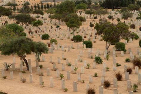 El Alamein War Cemetery in Northern Egypt. Editorial Stock Image - Image of historic, cemetery ...